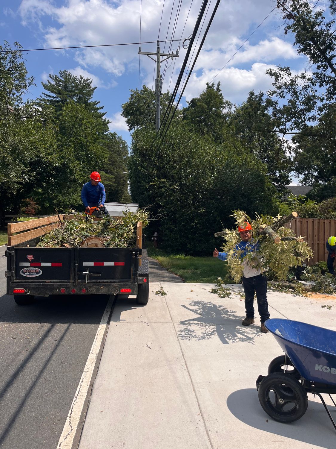 Ricky's Tree Service