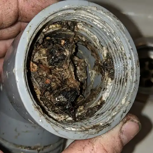 Close-up view of a grey PVC plumbing pipe held by a hand, showing a severe blockage of dark sludge, hair, and organic debris inside the threaded opening.
