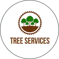 Tree Be Gone Google reviews, showing a rating of 4.7 out of 5 stars from 122 reviews.